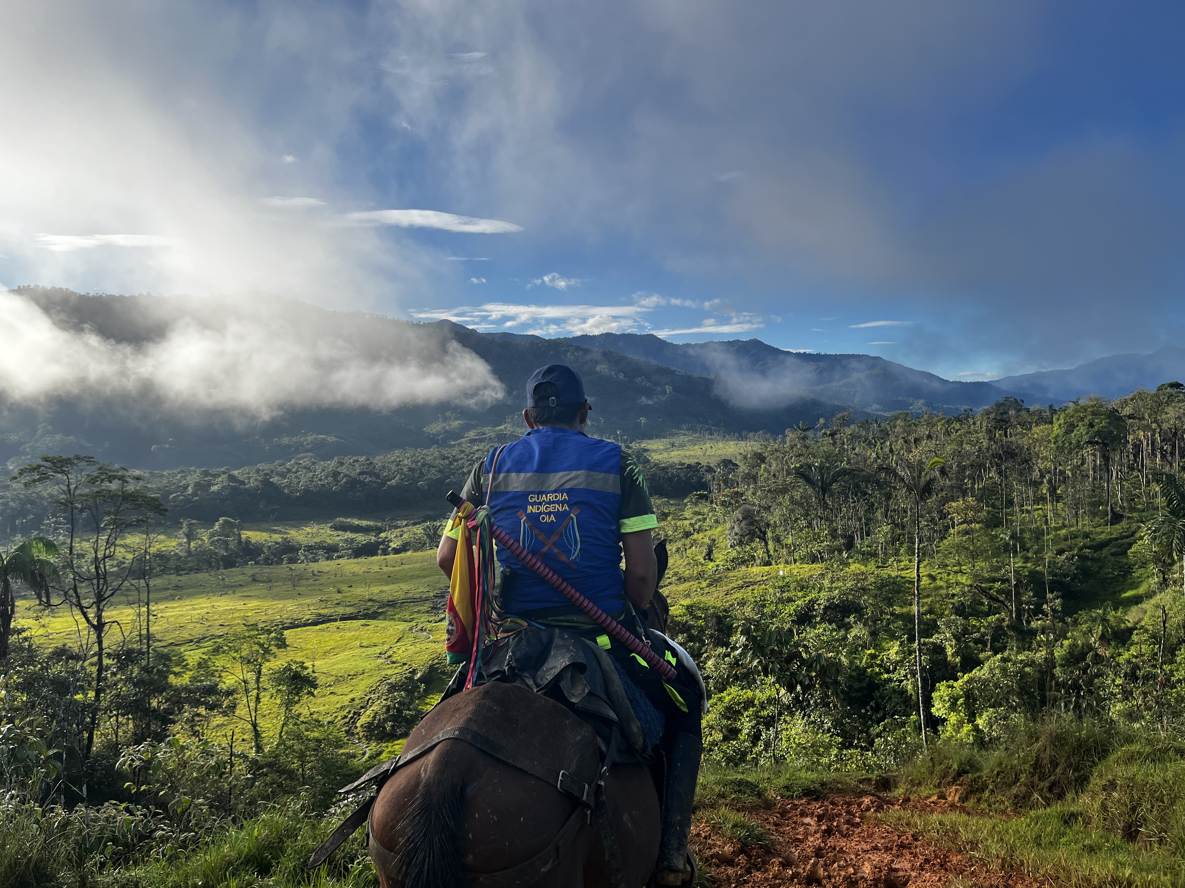 La entidad busca restituir un territorio de 8.741 hectáreas, en beneficio de 1.362 personas pertenecientes al pueblo Embera Eyábida.