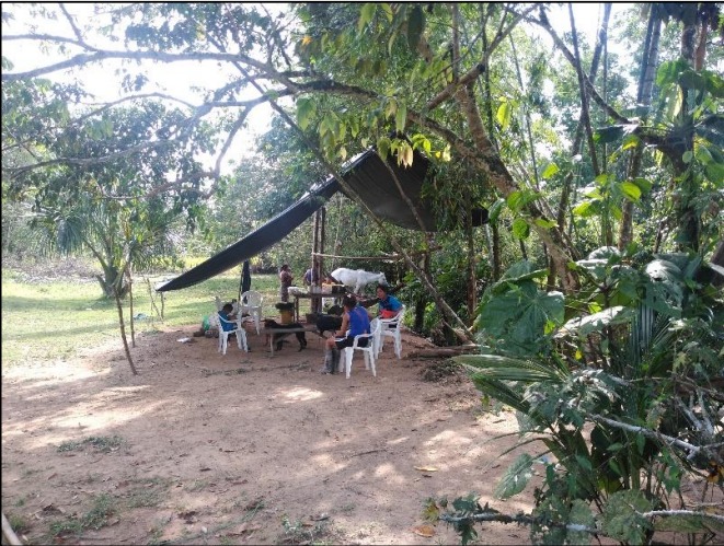Son 19 familias indígenas que recuperan sus derechos territoriales, gracias al fallo de un juzgado especializado. 