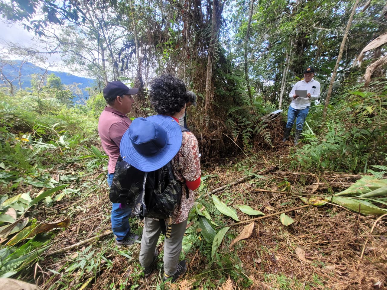 En cumplimiento de una de las órdenes del fallo, se entregó materialmente el predio rural ‘Altamira’, ubicado en la vereda San José, del cual se fue desplazado un campesino en el año 2004 por cuenta de enfrentamientos entre guerrilla y paramilitares.