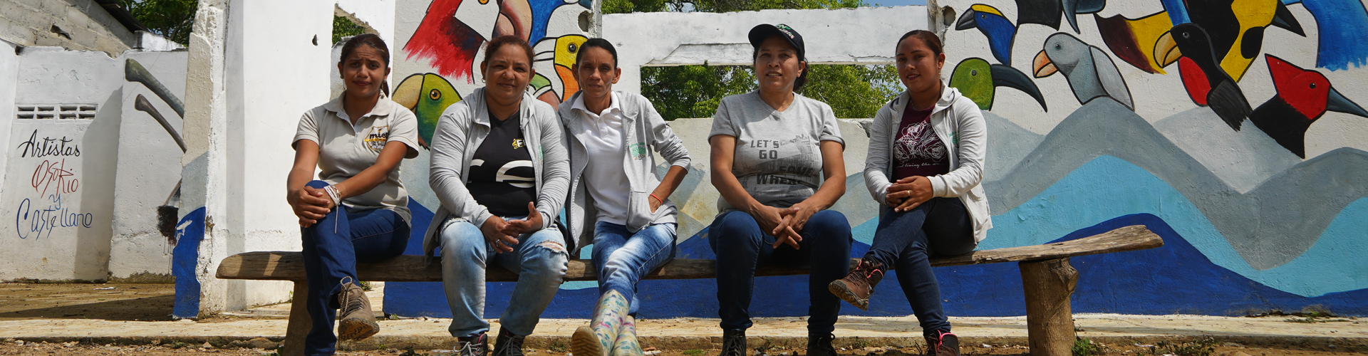 Beneficiarias de restitución de tierras, Asociación Madres Miel, Corregimiento de Chengue, Sucre.
